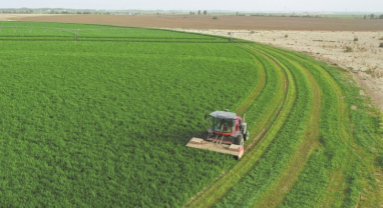 Xinjiang : comment les subventions ont transformé le contrôle du désert en source d'argent