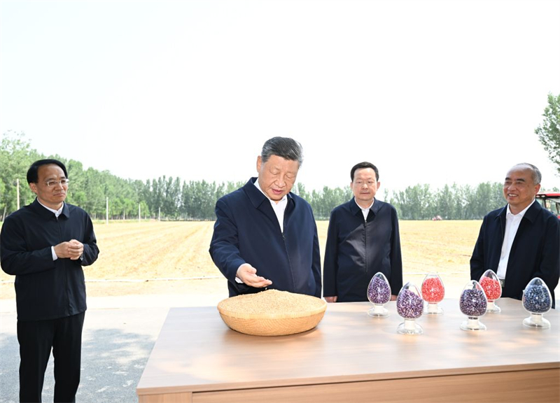 Xi Jinping appelle à des mesures solides pour moderniser l'agriculture et les zones rurales