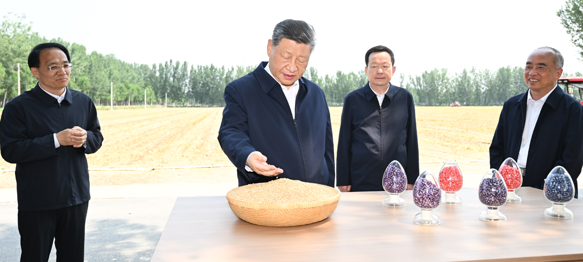 Xi Jinping appelle à des mesures solides pour moderniser l'agriculture et les zones rurales