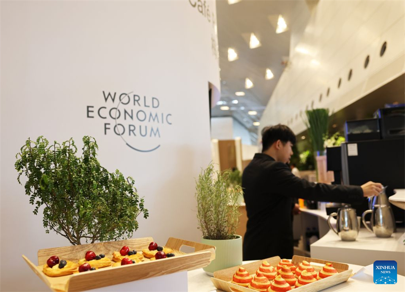Liaoning : les cerises de Dalian en vedette au forum de Davos d'été 2026