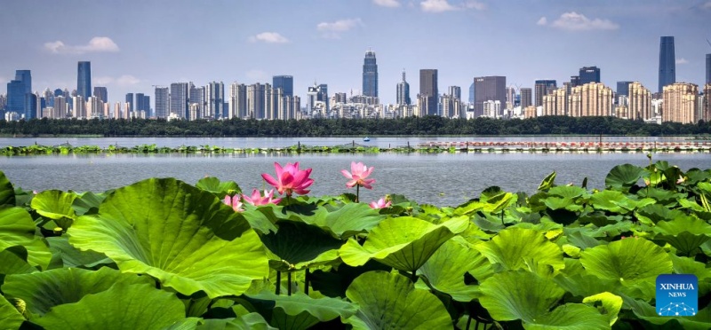 Hubei : la province intensifie la gestion des rivières et des lacs pour améliorer l'écologie de l'eau