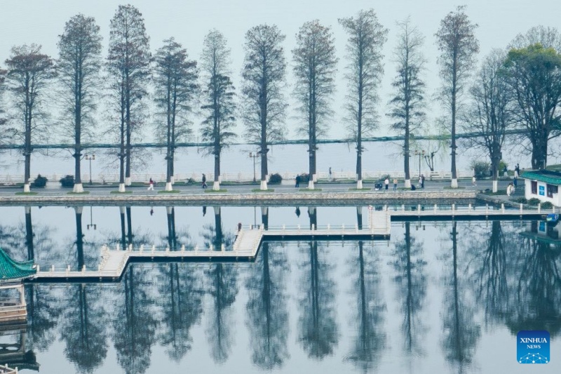 Hubei : la province intensifie la gestion des rivières et des lacs pour améliorer l'écologie de l'eau