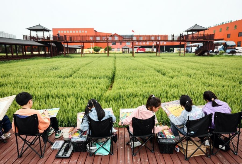 Des enfants dessinent à côté des champs, dans le canton de Yuxin du district de Nanhu, à Jiaxing, dans la province du Zhejiang (est de la Chine), le 27 avril 2024. (Photo/Xinhua)