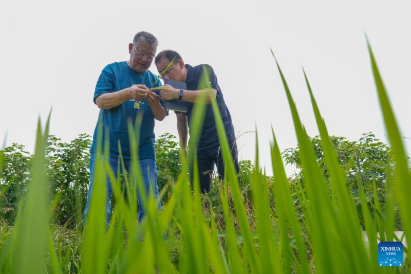 Jiangsu : un expert agricole a consacré plus de six décennies au développement rural de Zhenjiang