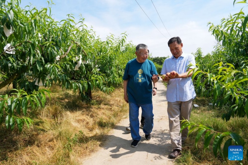 Jiangsu : un expert agricole a consacré plus de six décennies au développement rural de Zhenjiang