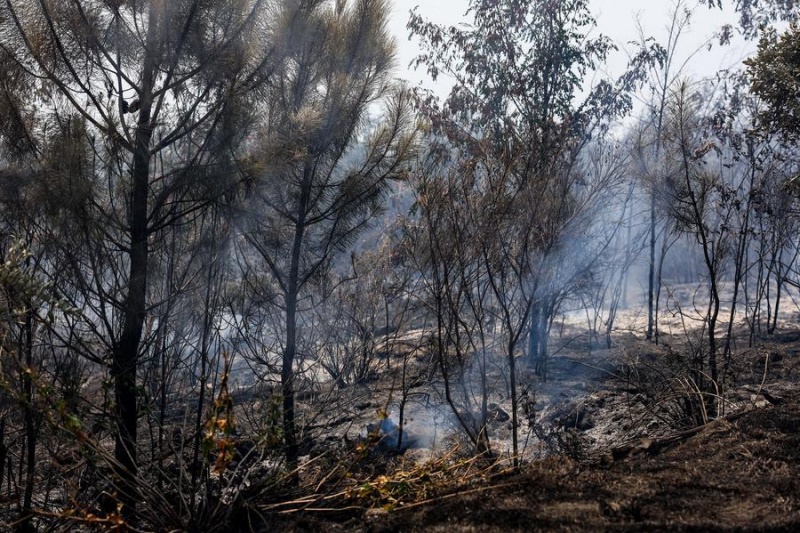 Photo prise le 11 août 2025 montrant le lieu d'un incendie de forêt dans le parc national du Vésuve, près de Naples, en Italie. (Xinhua)