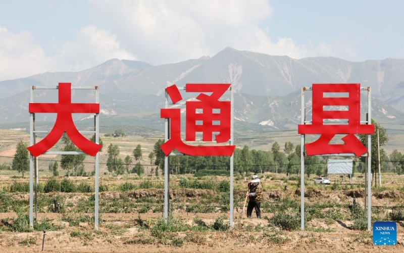 Qinghai : à Datong, un climat unique alimente la production de légumes de qualité pour climat froid