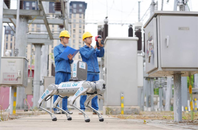 Un robot à quatre pattes coopère avec le personnel d'exploitation et de maintenance pour inspecter l'équipement dans une sous-station de 110 kV à Chuzhou, dans la province de l'Anhui (est de la Chine). (Photo/Song Weixing)
