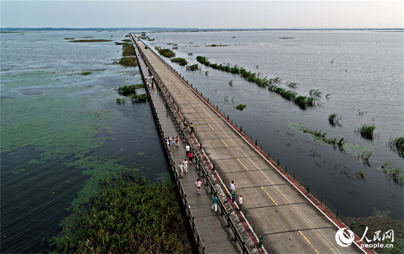 Jiangxi : l'« autoroute sur l'eau » de Yongxiu
