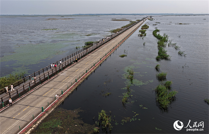 Jiangxi : l'« autoroute sur l'eau » de Yongxiu