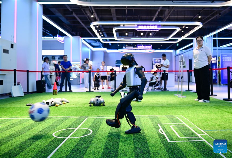Anhui : Hefei soutient le développement de l'industrie des robots intelligents