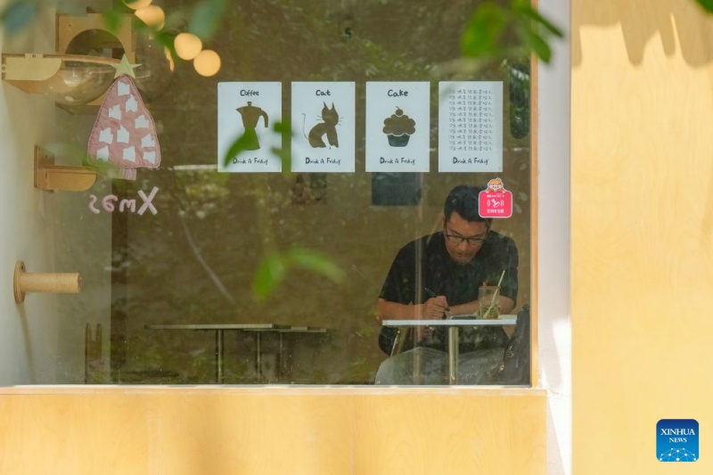 Sichuan : histoire en photo de l'accueil multilingue du préposé aux billets à Chengdu
