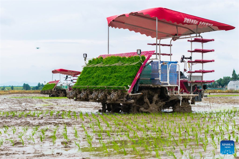 Hunan : des agriculteurs déploient des machines et équipements agricoles dans le village de Xiangjiang