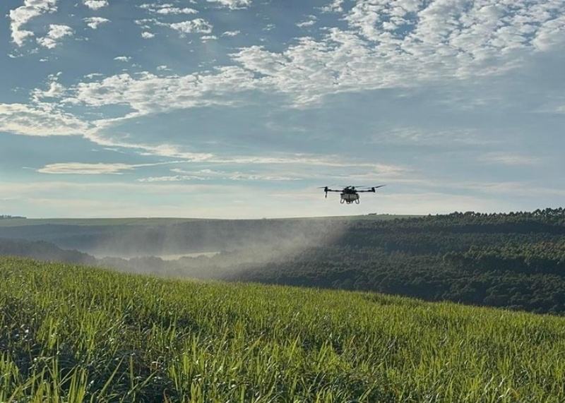 Un drone de la société technologique chinoise XAG pulvérise des pesticides au-dessus de champs de canne à sucre dans la province du KwaZulu-Natal, en Afrique du Sud, le 25 mars 2025. (Xinhua/Bai Ge)