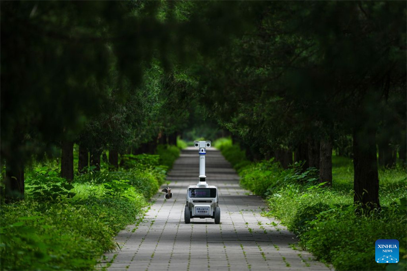 De nouveaux robots parcourent le parc du Temple du Ciel à Beijing