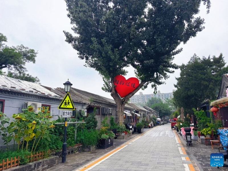 Photo prise le 10 juillet 2026, montrant une vue du hutong Lanman à Beijing. (Xinhua/Zheng Keyi)