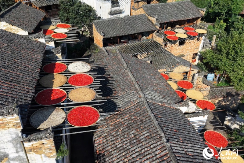 Jiangxi : venez admirer le séchage des récoltes au soleil dans le vieux village à flanc de falaise de Huangling