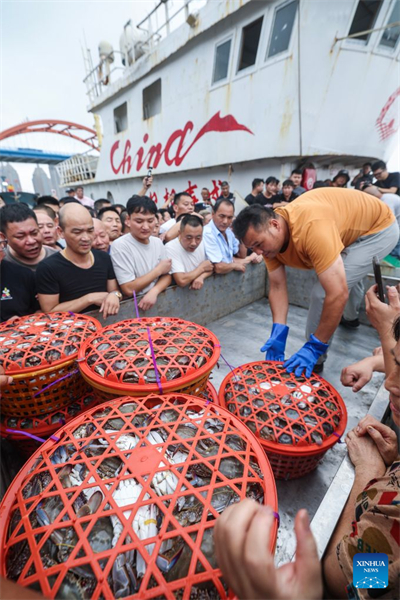 Zhejiang : la pêche aux crabes nageurs a repris à Zhoushan après la levée partielle du moratoire estival