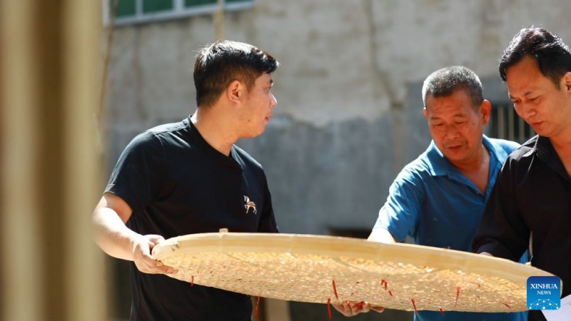 Chen Jianguo (à gauche), secrétaire du Parti communiste chinois du village de Beishan, examine des produits agricoles dans le village de Beishan, dans le district de Guangxin de la ville de Shangrao, dans la province du Jiangxi (est de la Chine), le 23 juillet 2026. (Xinhua/Peng Jing)