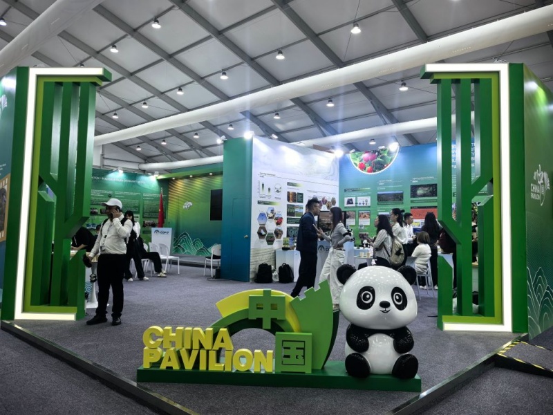 (Xinhua/Bolortsetseg)