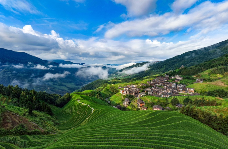 Guangxi : les rizières en terrasses verdoyantes de Longji, une escapade estivale toute en douceur