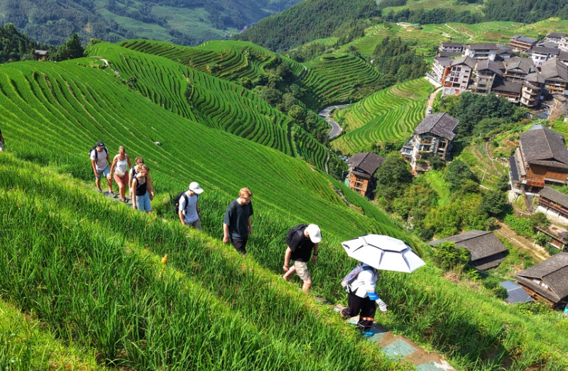 Guangxi : les rizières en terrasses verdoyantes de Longji, une escapade estivale toute en douceur