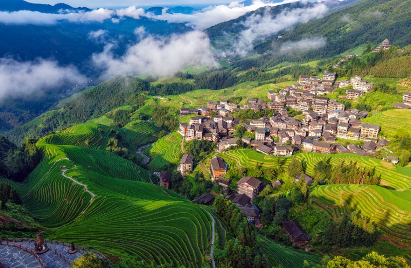 Guangxi : les rizières en terrasses verdoyantes de Longji, une escapade estivale toute en douceur