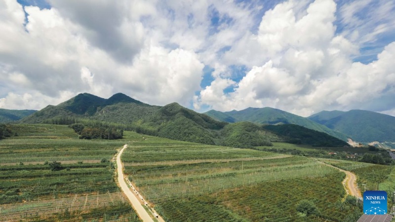Jilin : une route nationale ouvre de nouvelles perspectives à une localité montagneuse de Sandaogou