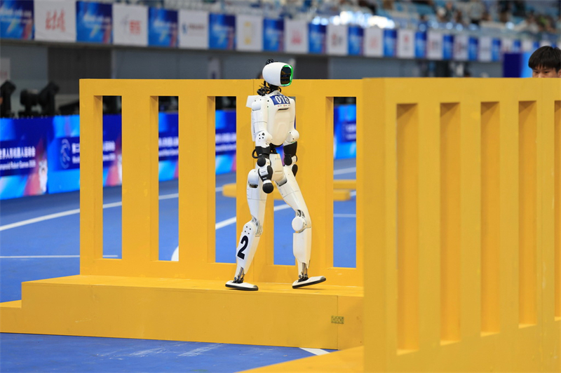 Beijing : les robots font une démonstration de « kung-fu » technologique