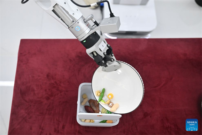 Jiangsu : un aperçu du centre de collecte de données pour robots du géant du commerce électronique JD.com de Suqian