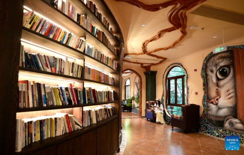 Jiangxi : à Wuyuan, une bibliothèque aménagée dans un gouffre offre une expérience de lecture unique aux visiteurs