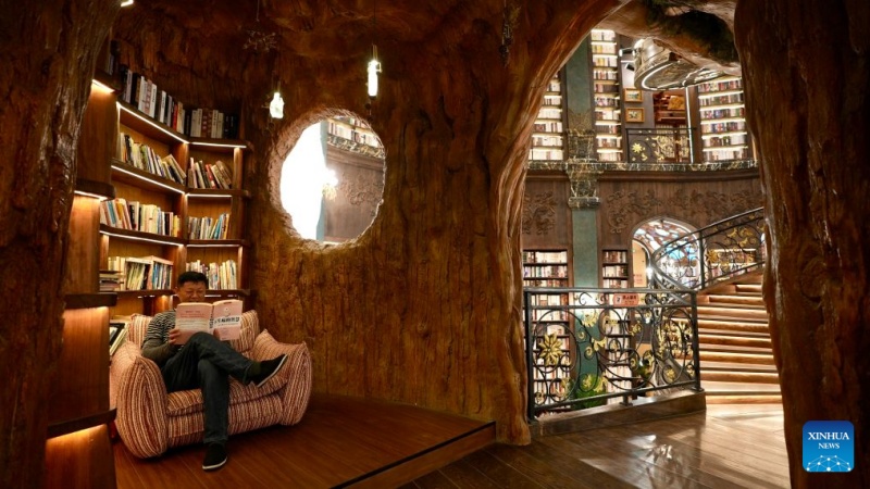 Jiangxi : à Wuyuan, une bibliothèque aménagée dans un gouffre offre une expérience de lecture unique aux visiteurs