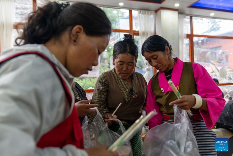 Xizang : tous les résidents et touristes touchés par une coulée de boue ont été évacués avec succès