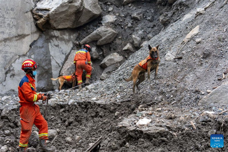 Xizang : les sauveteurs lancés dans une course contre la montre et les obstacles pour rechercher des survivants au poste frontalier de Gyirong