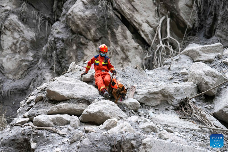 Xizang : les sauveteurs lancés dans une course contre la montre et les obstacles pour rechercher des survivants au poste frontalier de Gyirong