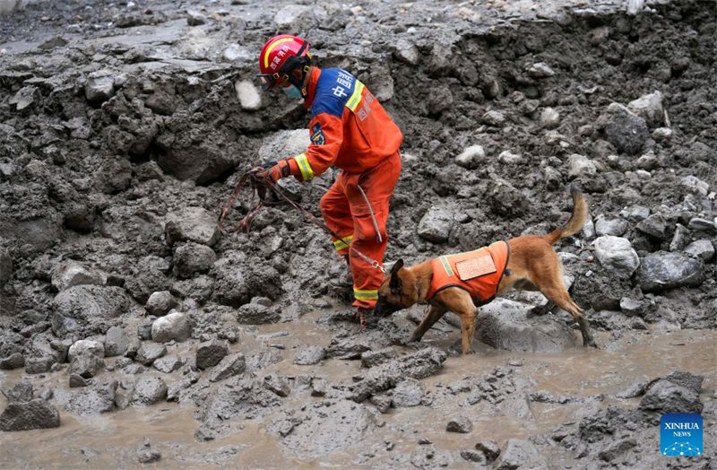 Xizang : les sauveteurs lancés dans une course contre la montre et les obstacles pour rechercher des survivants au poste frontalier de Gyirong