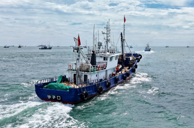 Shandong : ouverture de la nouvelle saison de pêche en mer Jaune et en mer de Bohai