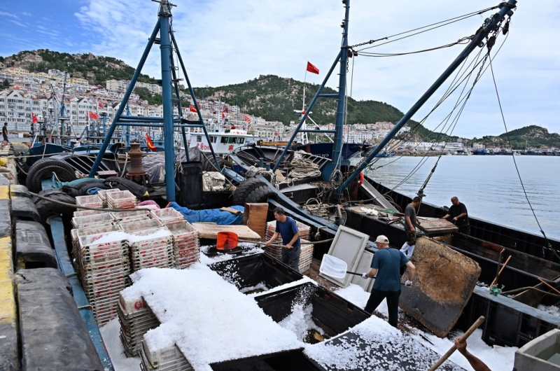 Shandong : ouverture de la nouvelle saison de pêche en mer Jaune et en mer de Bohai