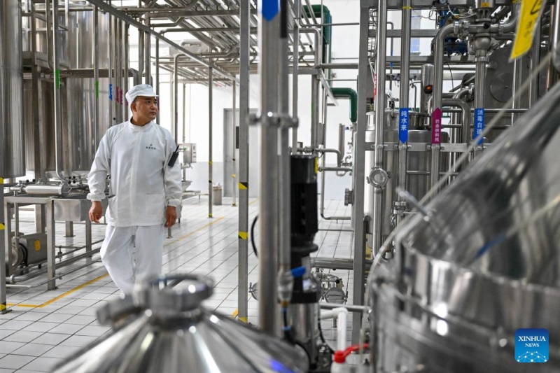 Xinjiang : les progrès des technologies agricoles deviennent des alliés précieux pour les agriculteurs