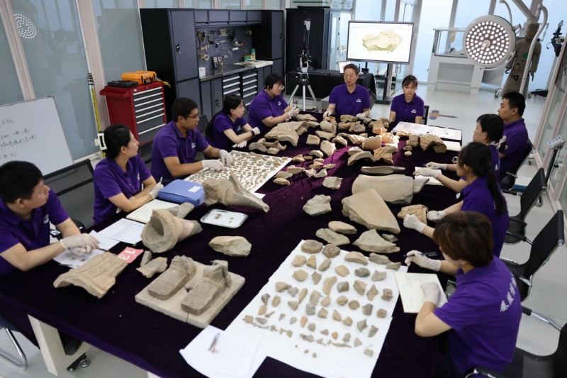 Shaanxi : les fouilles et la préservation des guerriers en terre cuite de Xi'an entrent dans un nouveau modèle