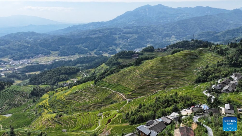 Hunan : à la découverte des spectaculaires rizières en terrasses de Ziquejie