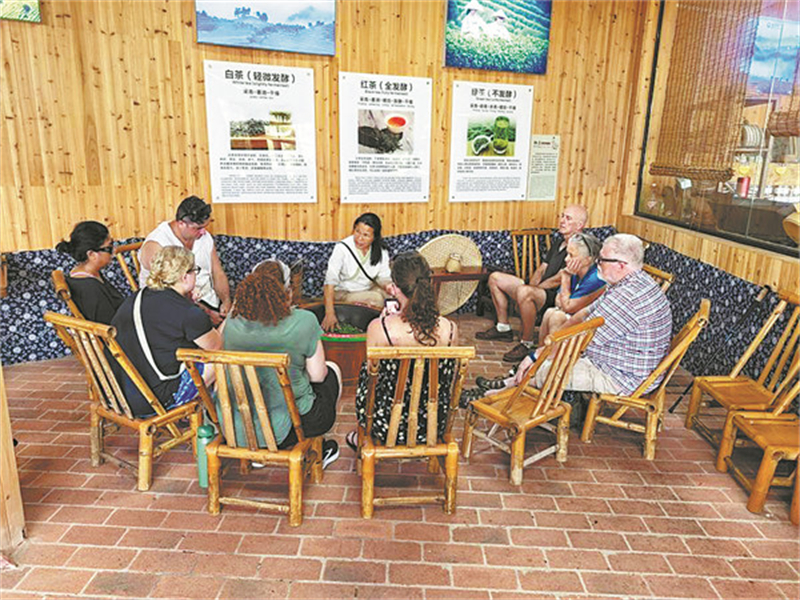 Des voyageurs étrangers s'initient à la préparation du thé dans une plantation du comté de Yangshuo, à Guilin, dans la région autonome Zhuang du Guangxi (sud de la Chine), le 1er juillet. (Zhao Tangyan/Xinhua)