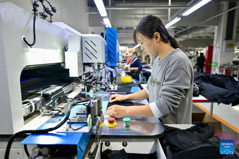 Ningxia : le canton de Minning transformé par la coopération interrégionale de lutte contre la pauvreté Est-Ouest