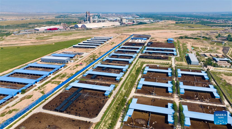 Ningxia : le canton de Minning transformé par la coopération interrégionale de lutte contre la pauvreté Est-Ouest