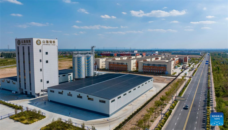 Ningxia : le canton de Minning transformé par la coopération interrégionale de lutte contre la pauvreté Est-Ouest