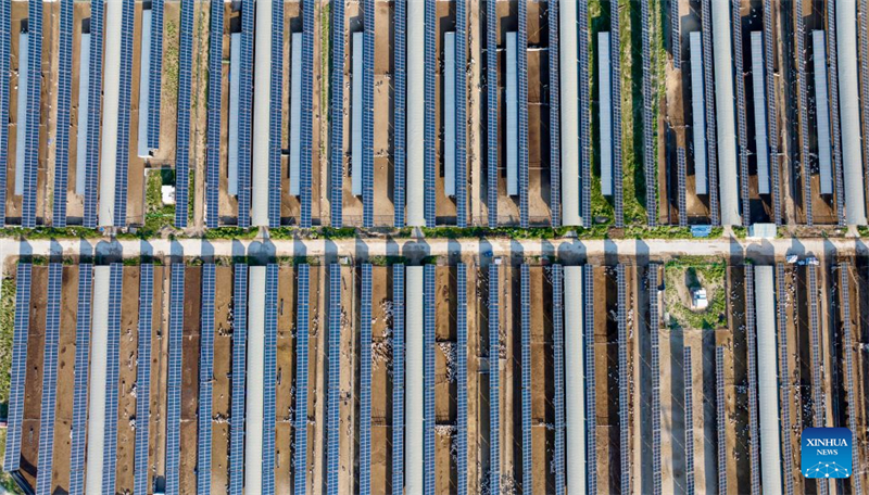 Ningxia : le canton de Minning transformé par la coopération interrégionale de lutte contre la pauvreté Est-Ouest