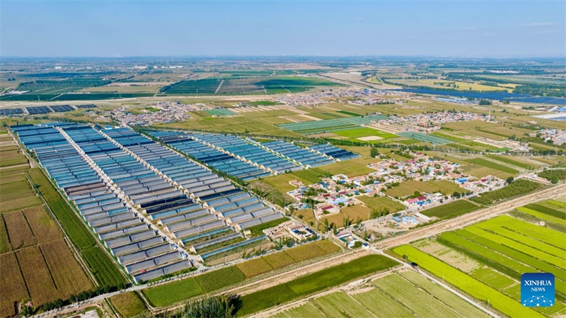 Ningxia : le canton de Minning transformé par la coopération interrégionale de lutte contre la pauvreté Est-Ouest