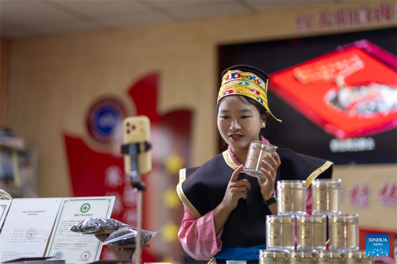 Xizang : une exploitation agricole familiale développe la filière du champignon Lingzhi à Milin