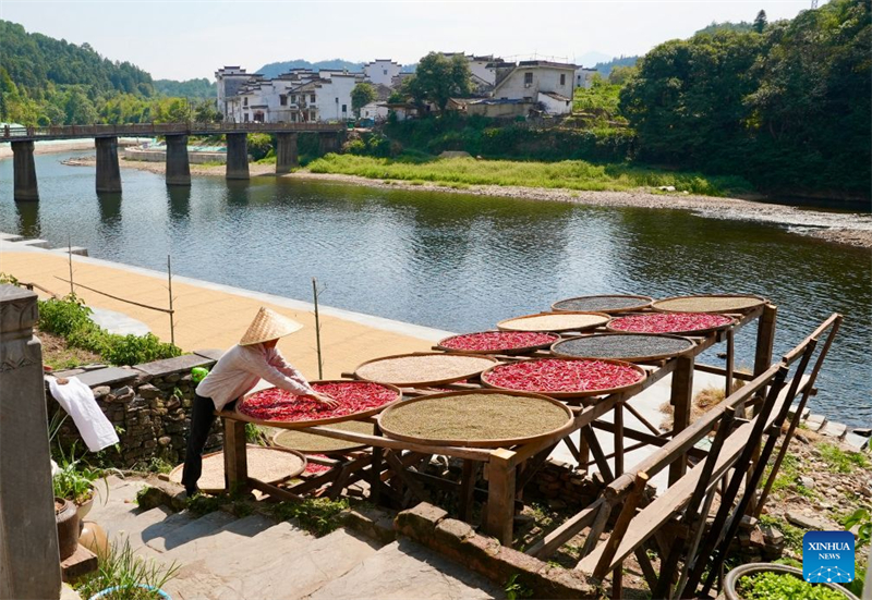 Jiangxi : le séchage des produits agricoles dans le district de Wuyuan attire les touristes