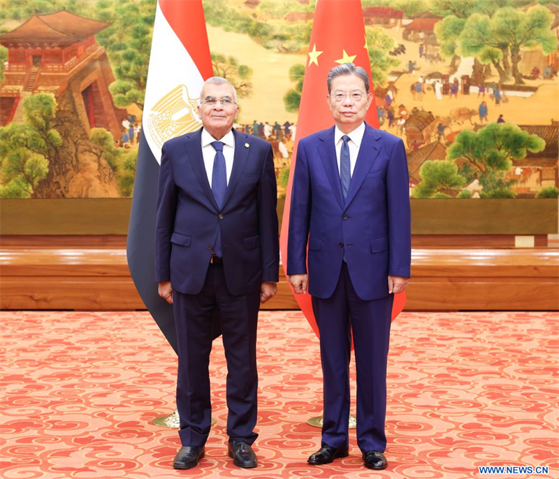 Le plus haut législateur et le plus haut conseiller politique de la Chine s'entretiennent séparément avec le président du Sénat égyptien